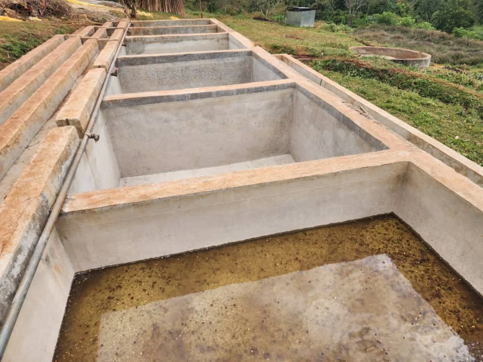 Washing and fermentation channels