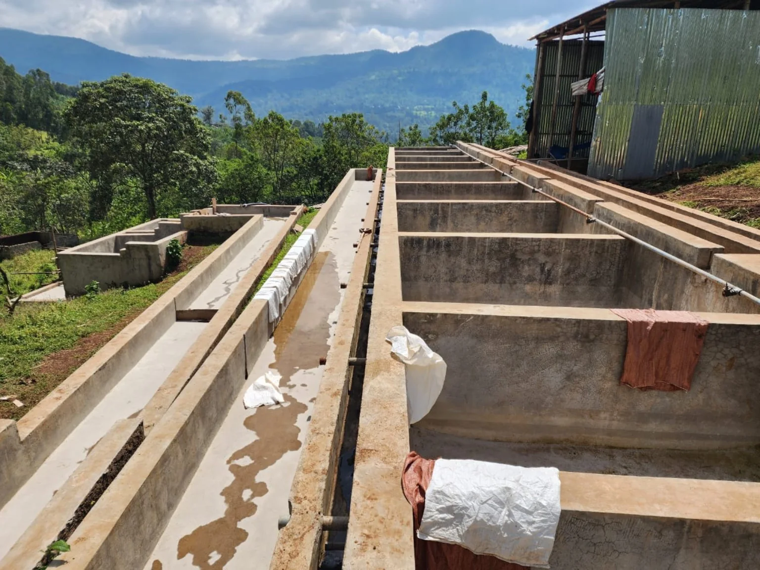 Coffee washing station